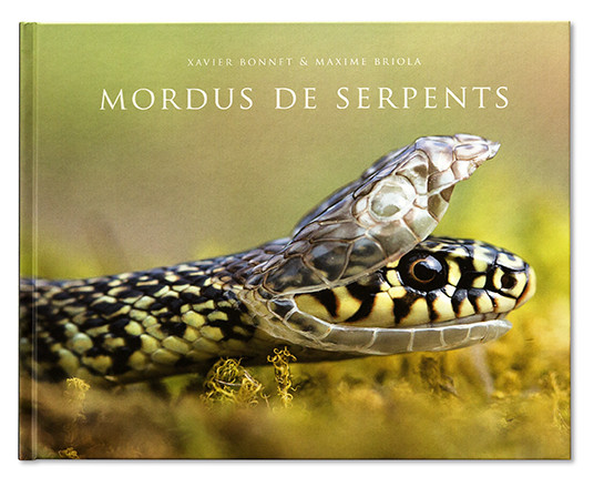 Mordus De Serpents Escourbiac